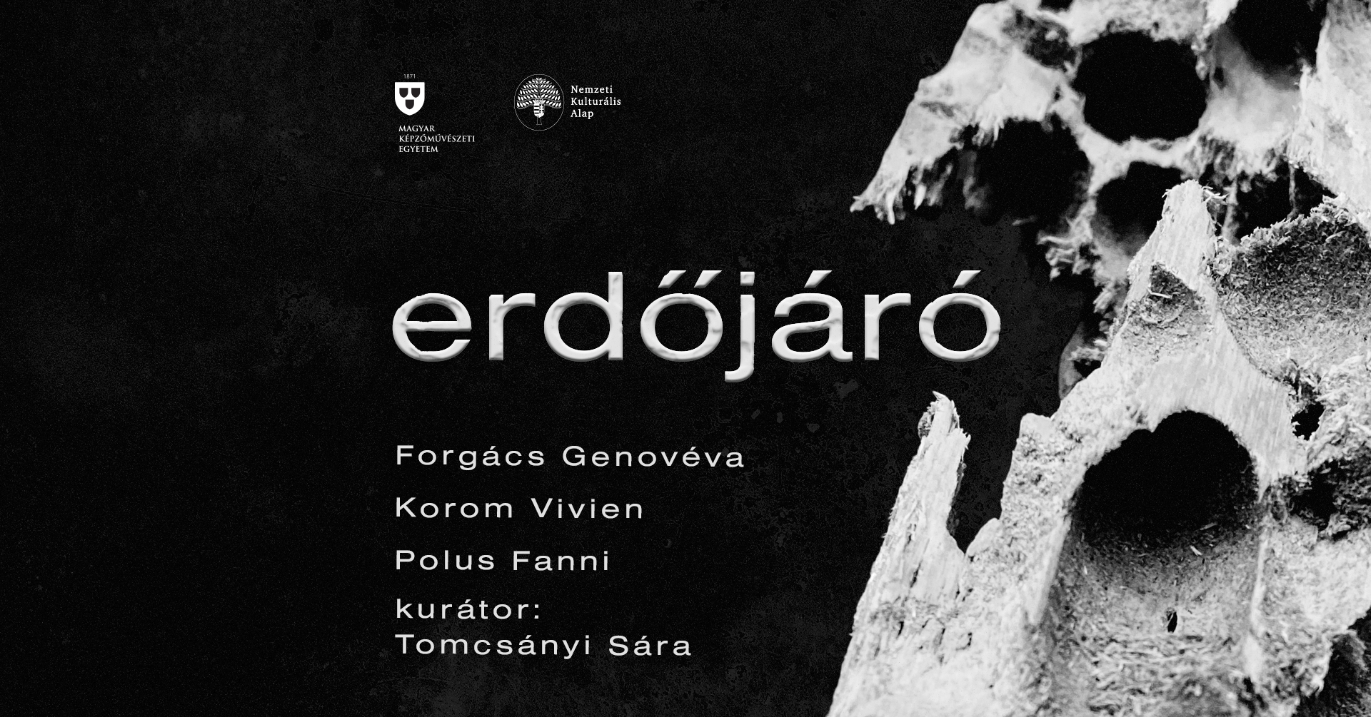 Erdőjáró