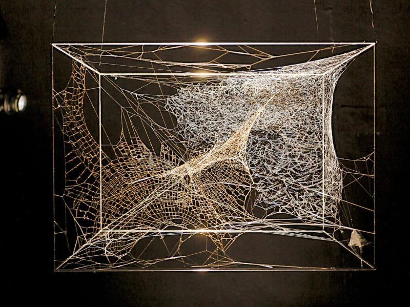 From Wicker to Spider Threads – Performance by Argentinian sculptor Claudia Aranovich