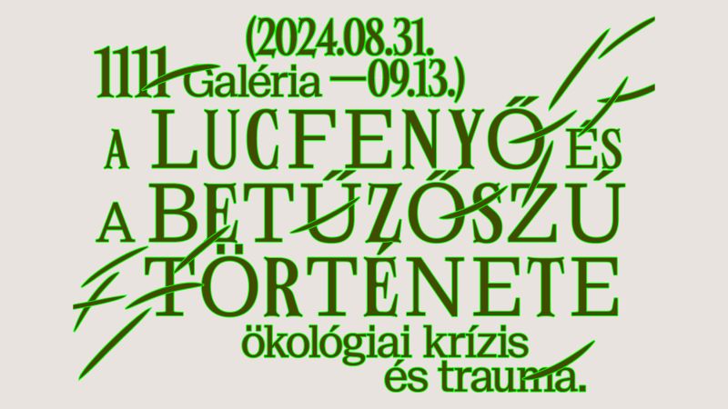 A lucfenyő és a betűzőszú „története”: ökológiai krízis és trauma