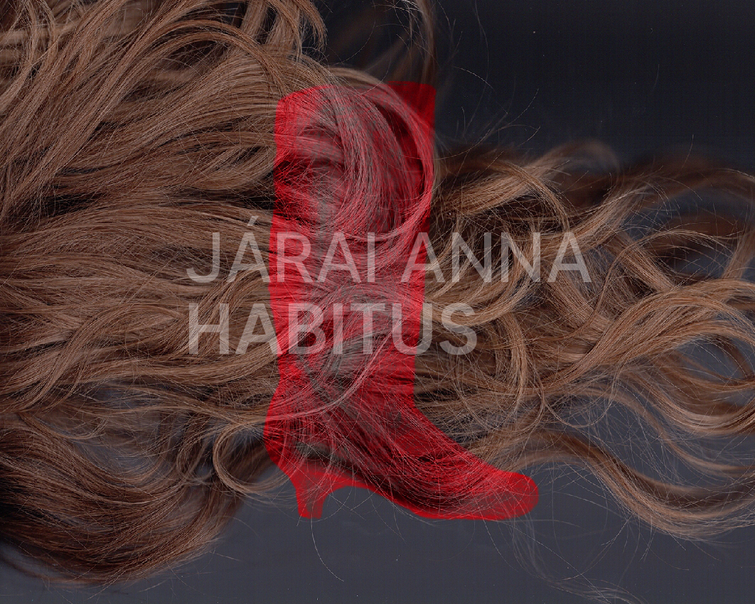 Járai Anna: Habitus 