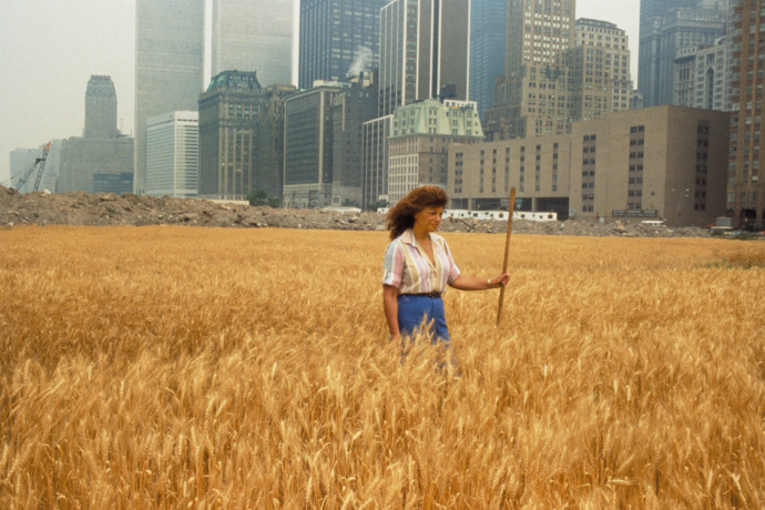 Agnes Denes: A Wheatfield — A Confrontation, 1982